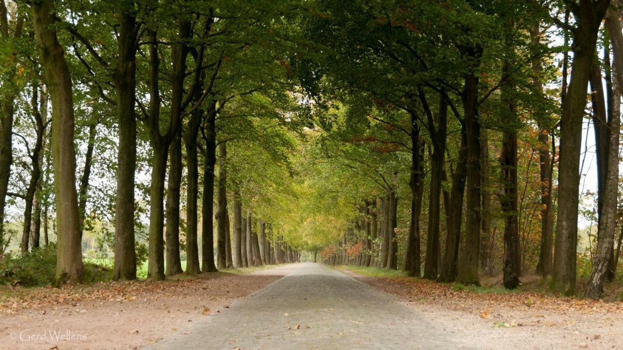 B&B De Grote Kievit Geel Eksteriør billede